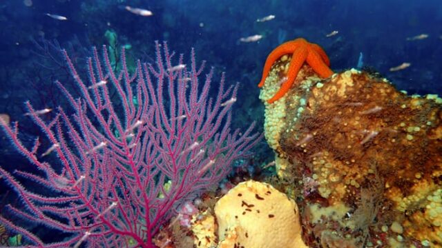 13 GRADOS COOPERATIVA