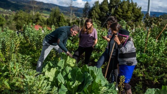 Grupo en huerta comunitaria rural