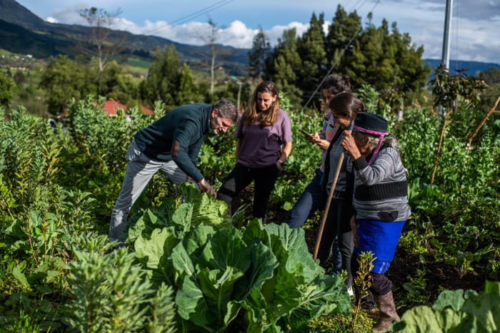 Grupo en huerta comunitaria rural
