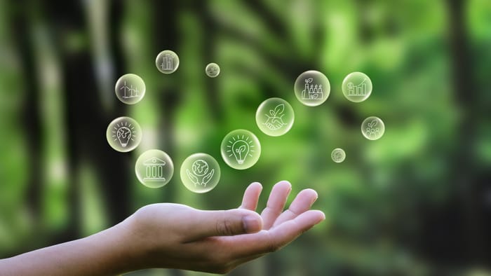 La paz es la única inversión posible