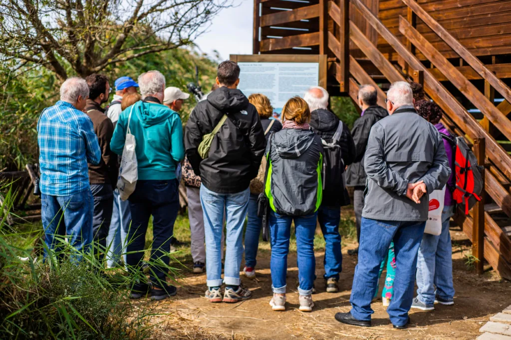 SEO/BirdLife - Riet Vell
