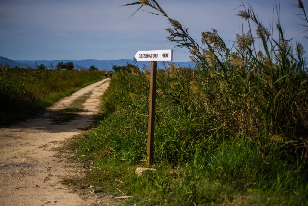 SEO/BirdLife - Riet Vell