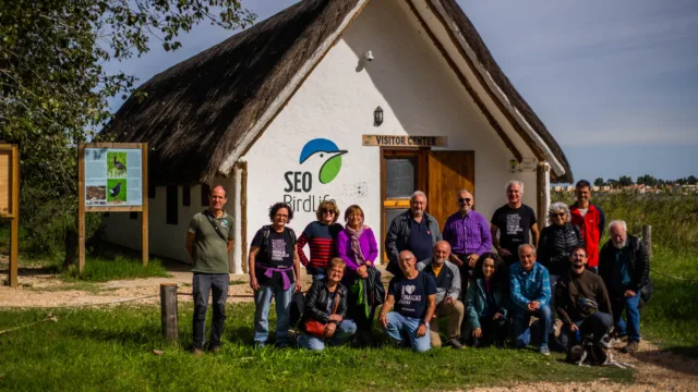 SEO/BirdLife - Riet Vell