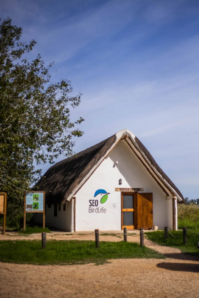 SEO/BirdLife - Riet Vell